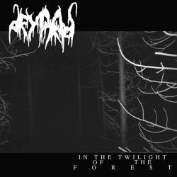 In the Twilight of the Forest